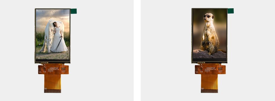 3點(diǎn)5寸詳情